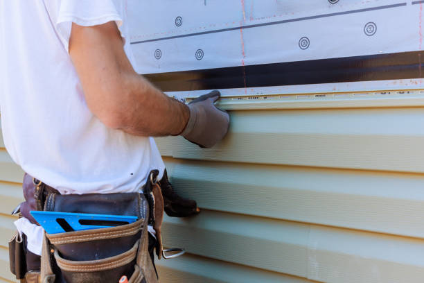 Affordable Siding Repair solutions in Auburn, IL